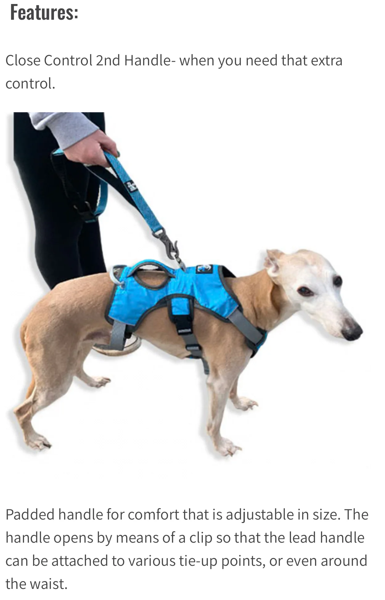 6-IN-1 Multi Function Lead with Anti-jar Bungee - Image 3