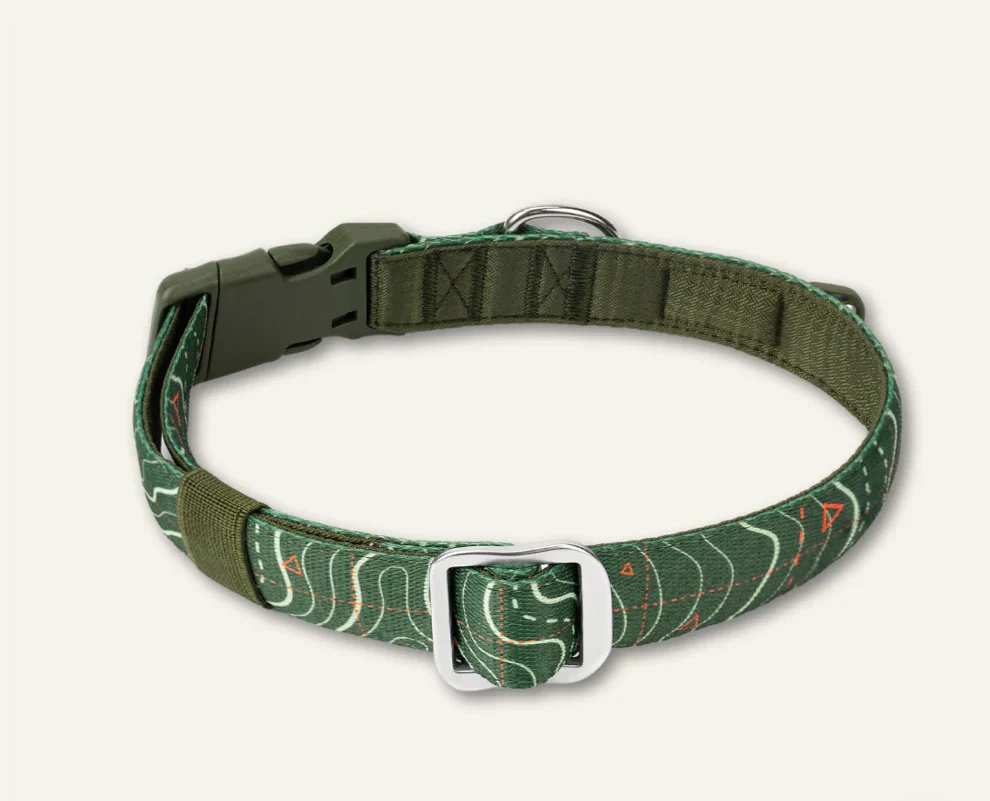 Apex® Collar Nomad