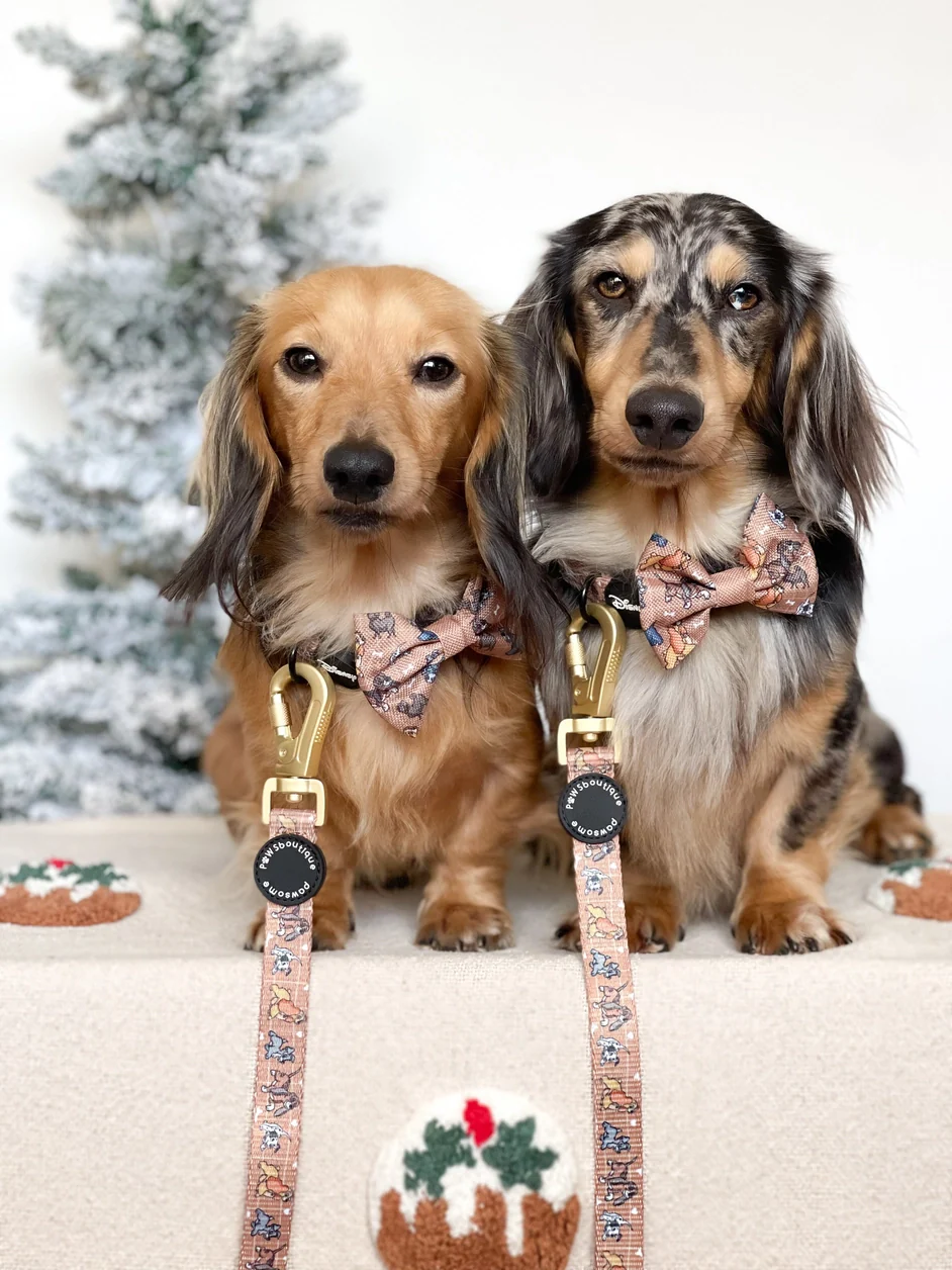 Disney© Lead - Disney Dogs - Image 4