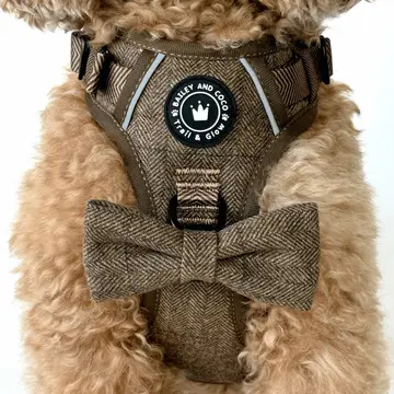 Trail & Glow Tweed Dog Harness - Oxford Tweed - Image 12