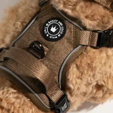 Trail & Glow Tweed Dog Harness - Oxford Tweed - Image 13