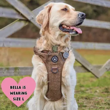 Trail & Glow Tweed Dog Harness - Oxford Tweed - Image 5