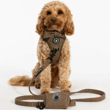 Trail & Glow Tweed Dog Harness - Oxford Tweed - Image 6