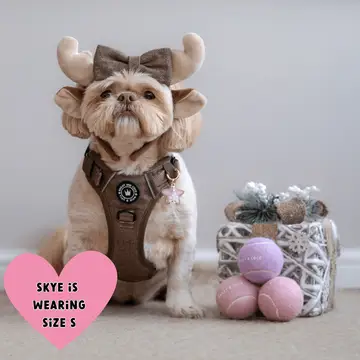Trail & Glow Tweed Dog Harness - Oxford Tweed - Image 8