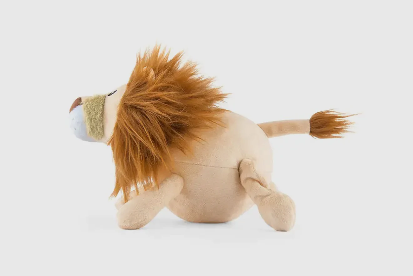 Big Five of Africa - Lion - Image 3