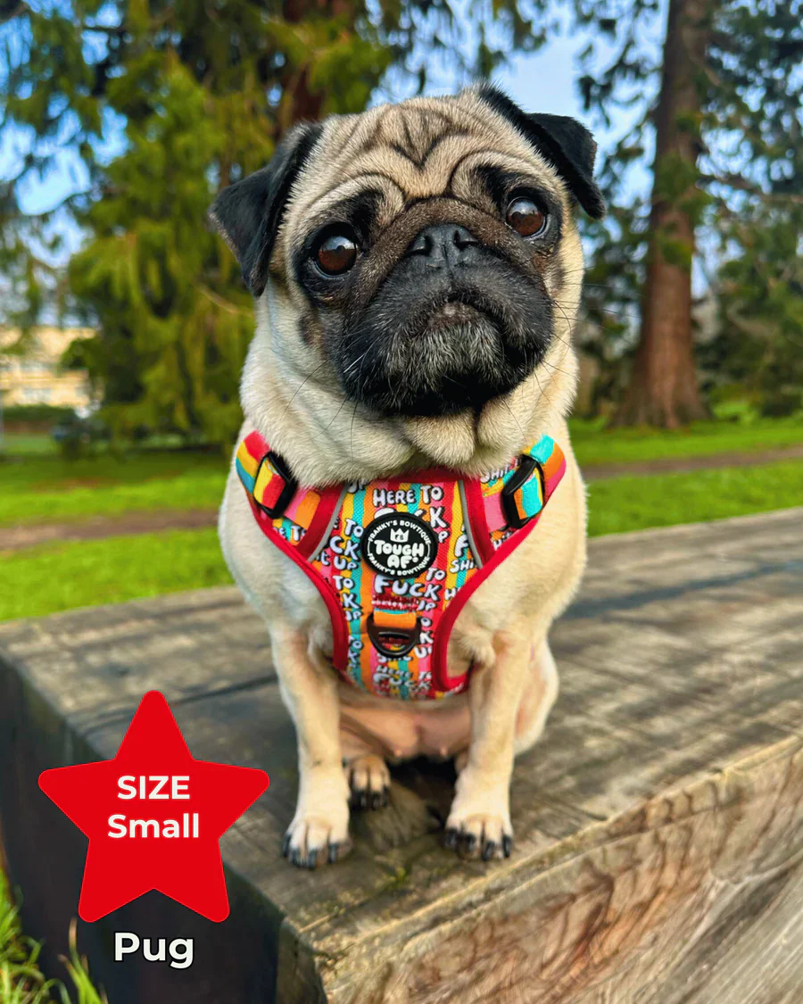 Tough AF® Harness - Here to fuck shit up - Image 5