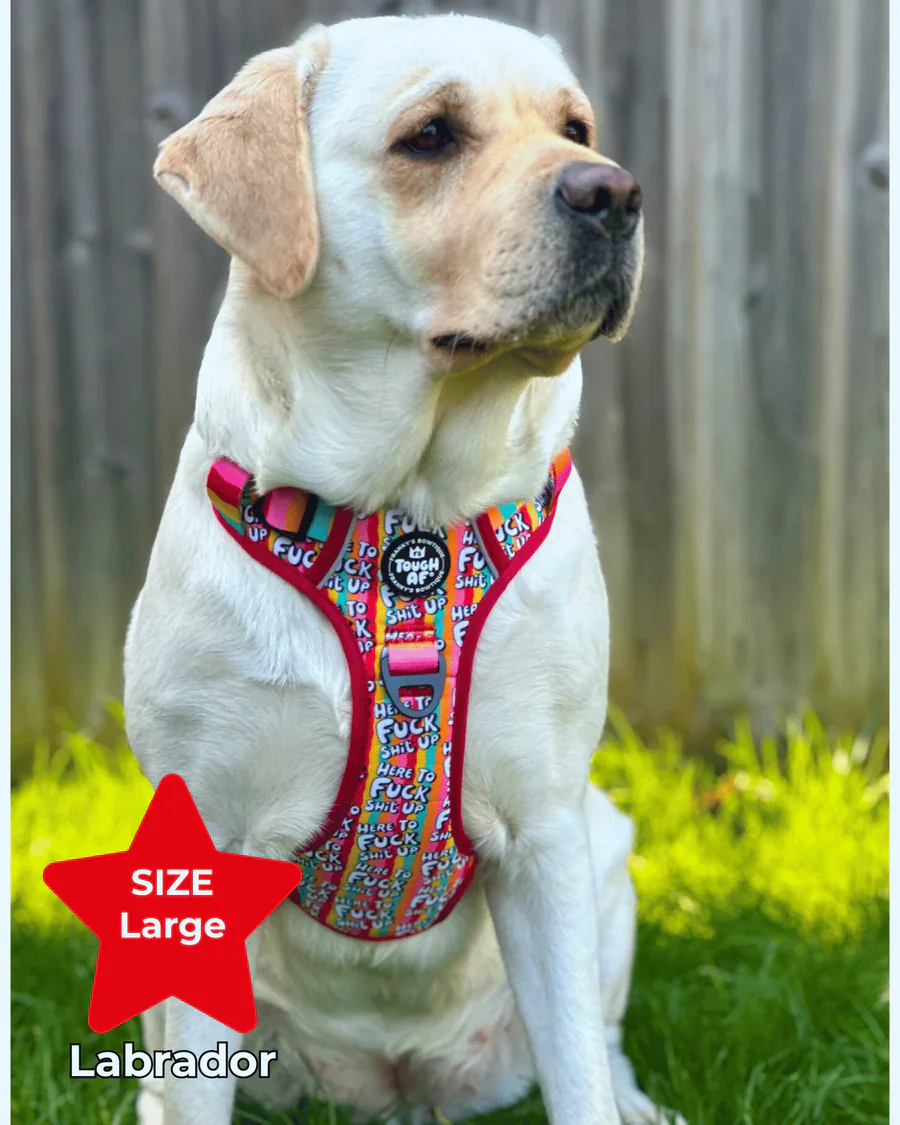 Tough AF® Harness - Here to fuck shit up - Image 7