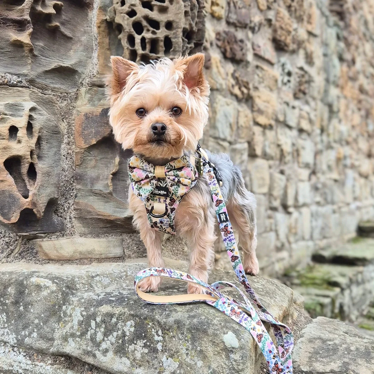 Hike & Go Lite™ Harness - Bumbles & Butterflies - Image 11