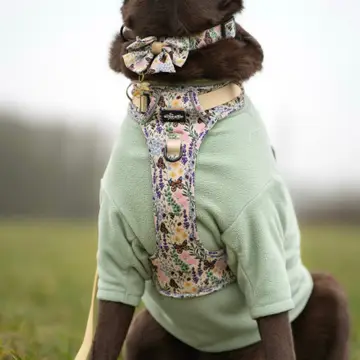 Hike & Go Lite™ Harness - Bumbles & Butterflies - Image 9