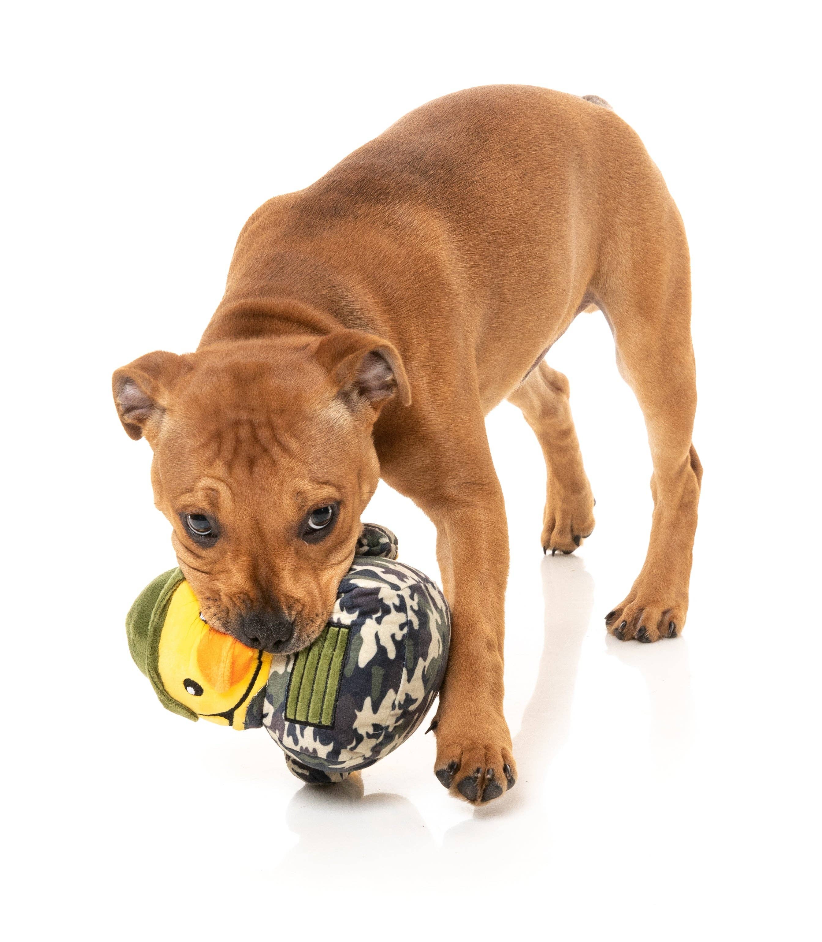 Commanduck - Dog Toy - Image 4