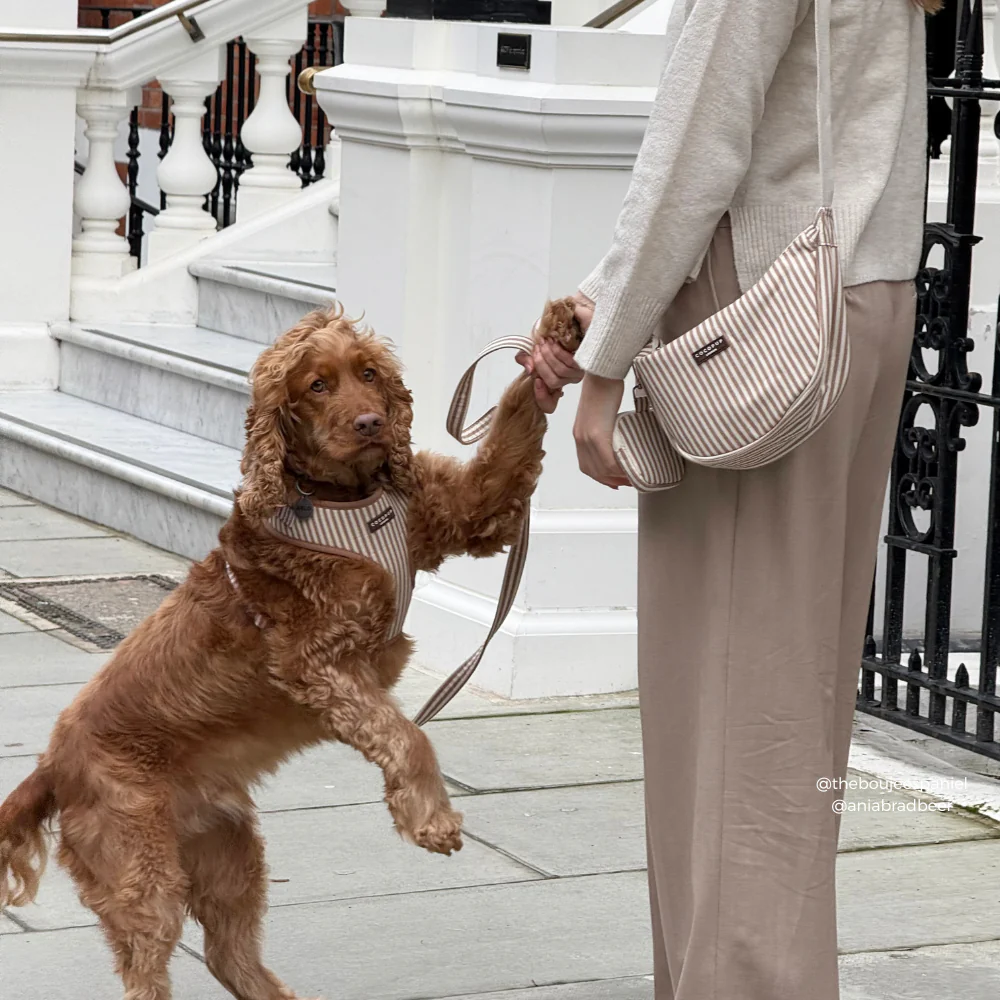 Crossbody Crescent Dog Walking Bag - London Linen Stripes - Image 7