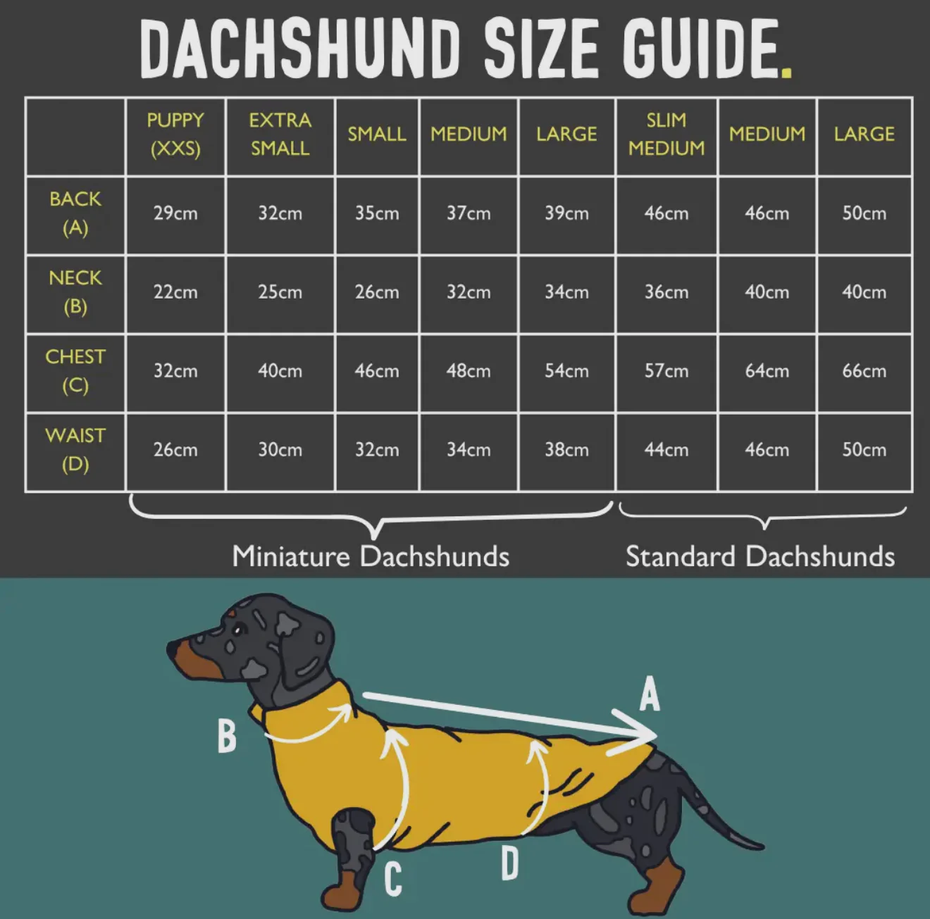 Dachshund Wild Range Fleece Suits with 4 Legs - Image 5