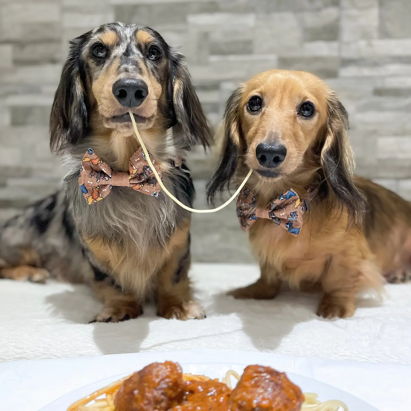 Disney© Bow Tie - Disney Dogs - Image 3