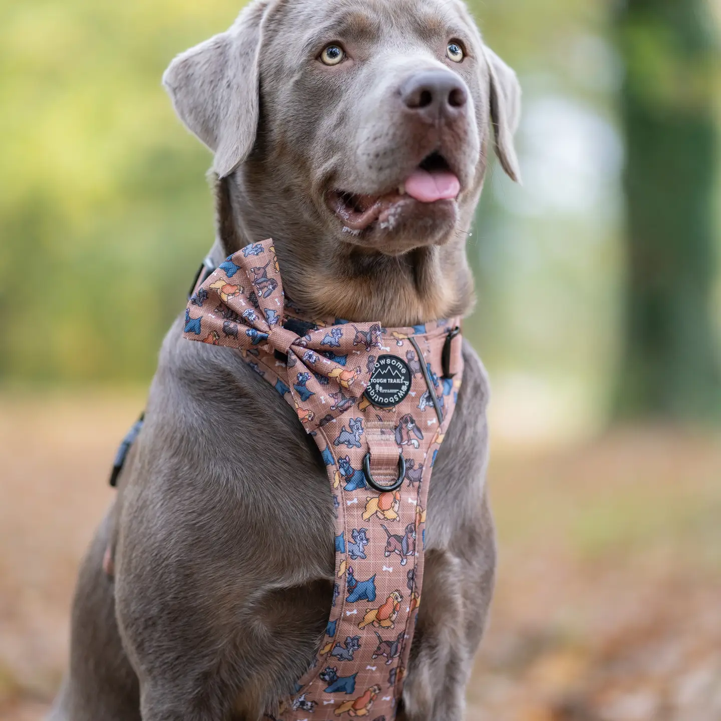 Disney© Bow Tie - Disney Dogs - Image 5