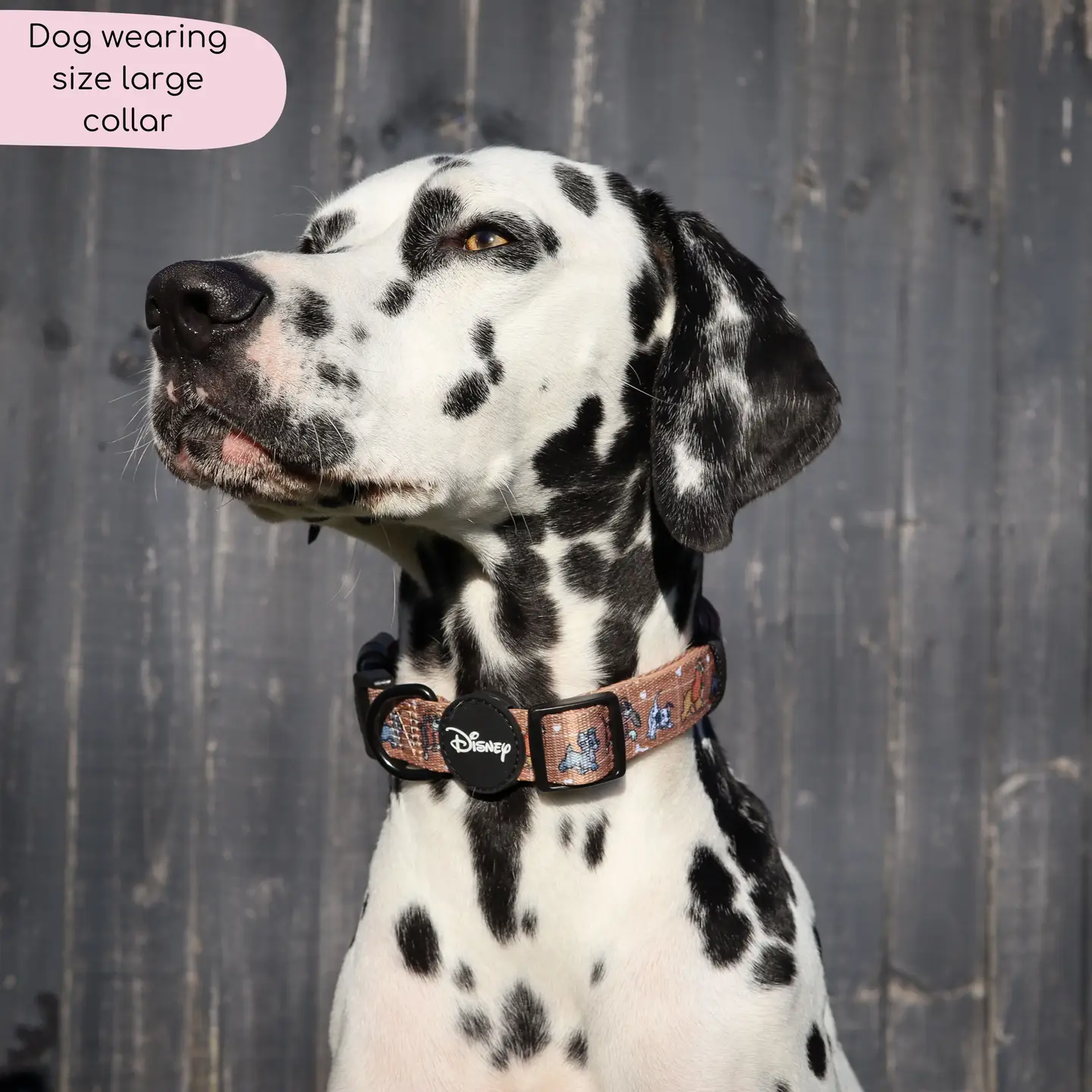 Disney© Collar - Disney Dogs - Image 3