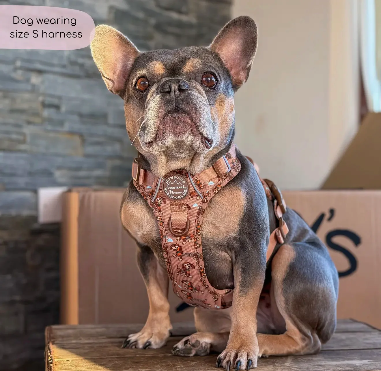 Disney© Tough Trails™ Harness - Slinky - Image 6