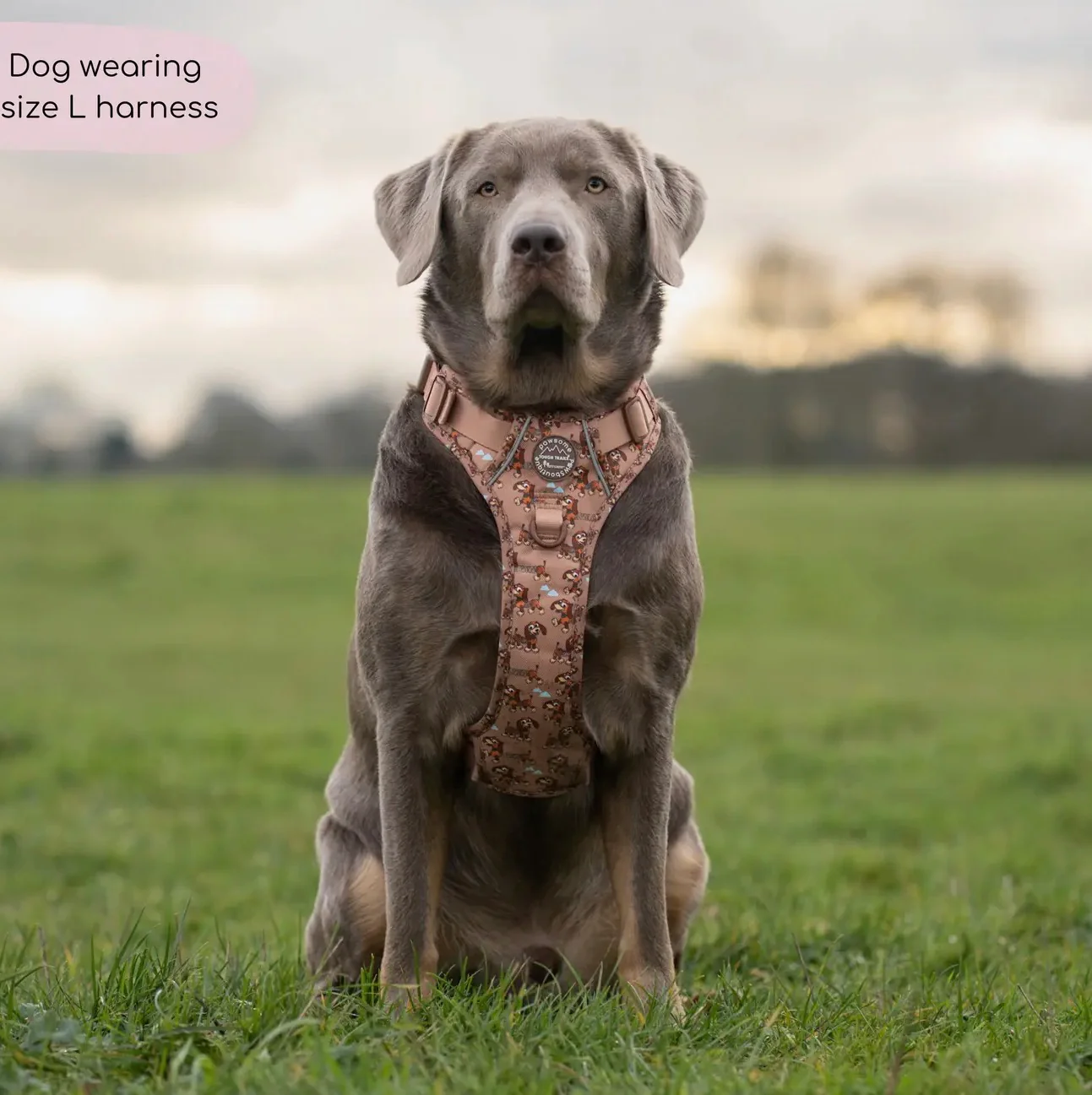 Disney© Tough Trails™ Harness - Slinky - Image 7