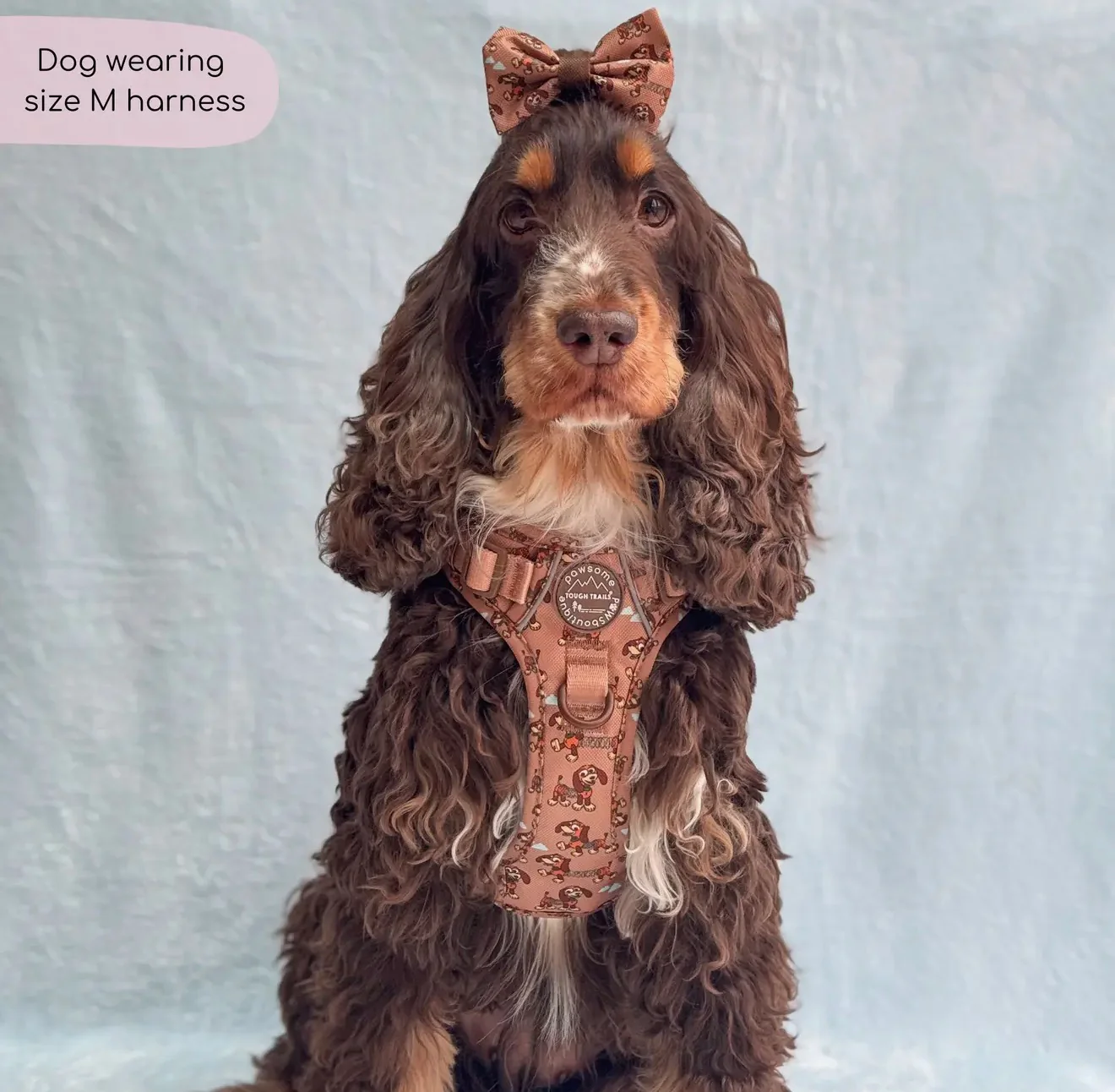 Disney© Tough Trails™ Harness - Slinky - Image 8