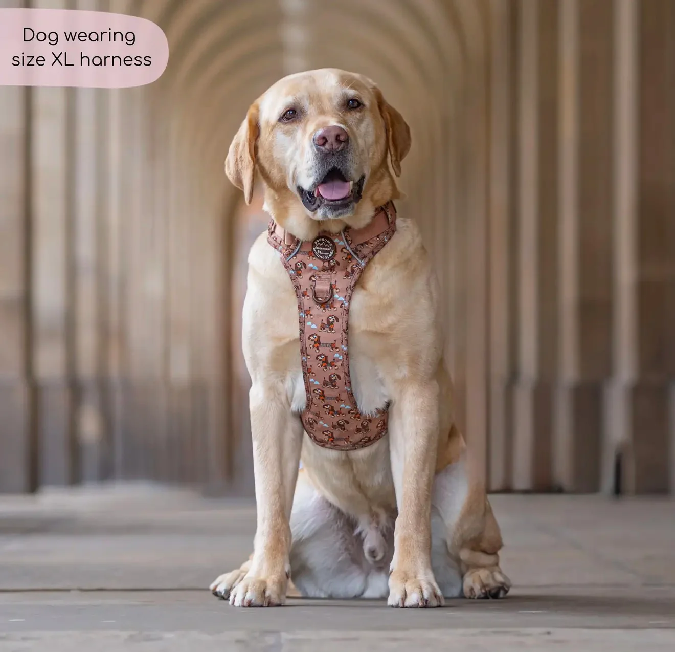 Disney© Tough Trails™ Harness - Slinky - Image 9