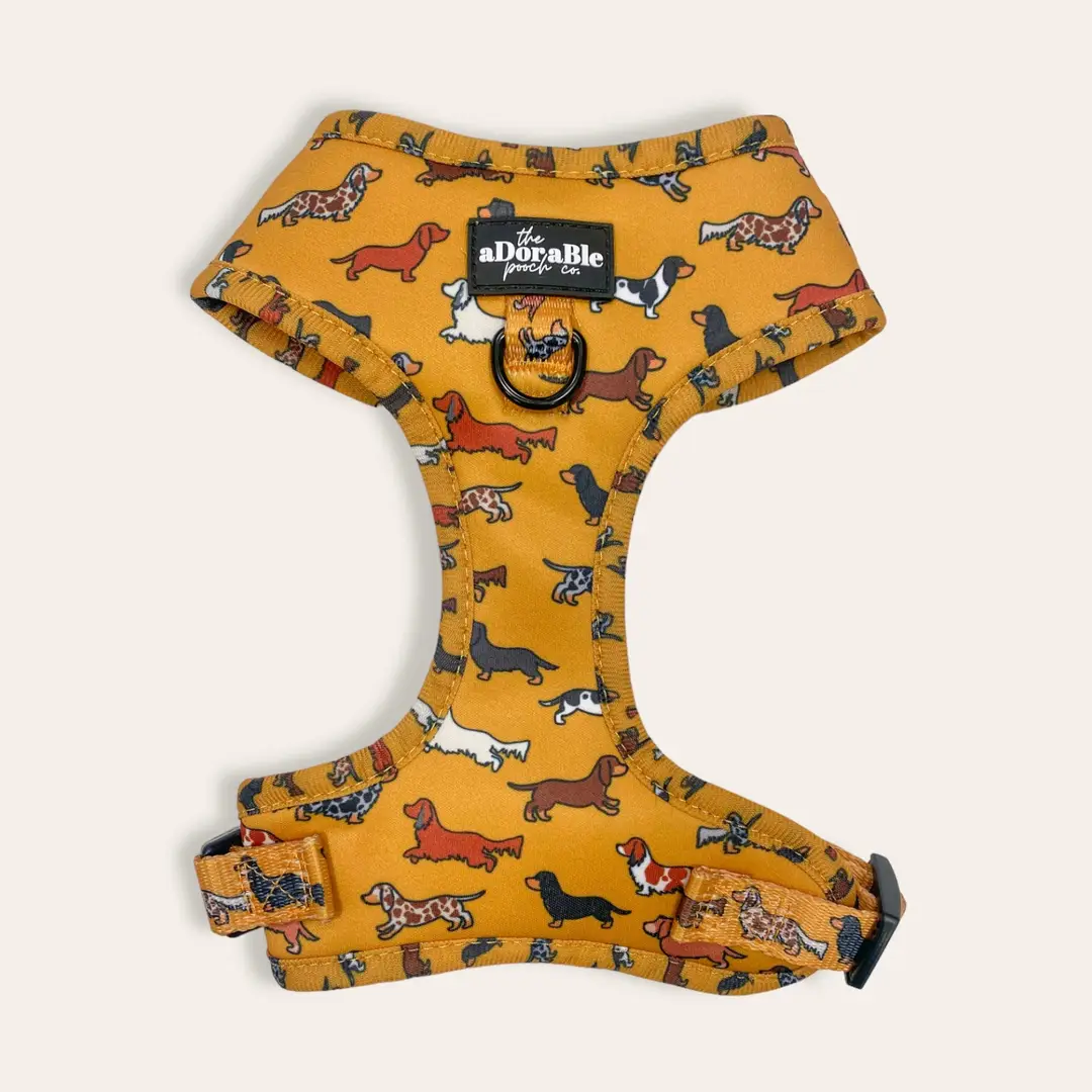 Adjustable Harness - Dashing Dachshunds - Image 2