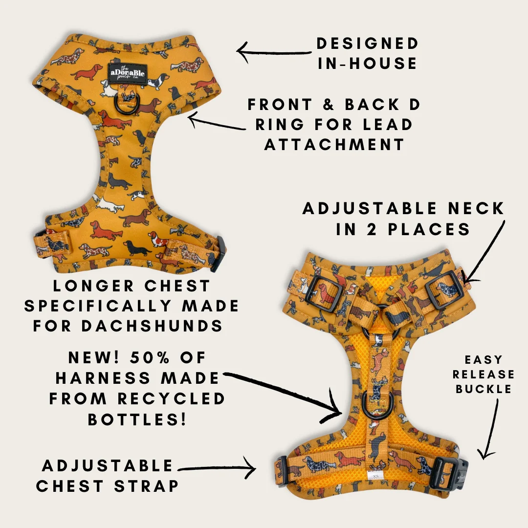 Adjustable Harness - Dashing Dachshunds - Image 3