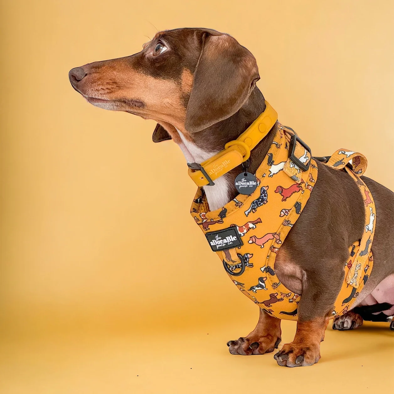 Adjustable Harness - Dashing Dachshunds - Image 5