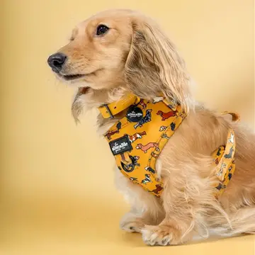 Adjustable Harness - Dashing Dachshunds - Image 6