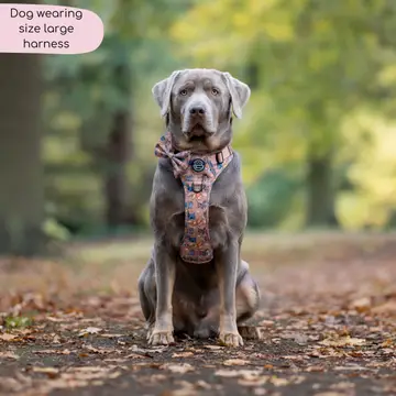 Disney© Tough Trails™ Harness - Disney Dogs - Image 4