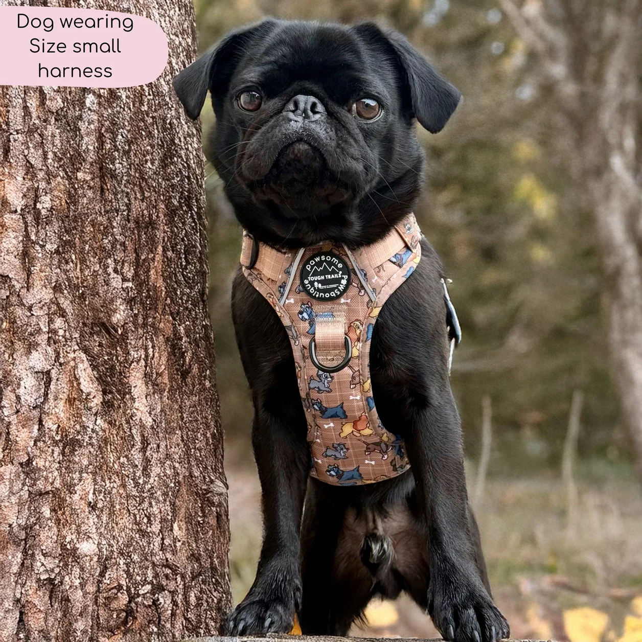Disney© Tough Trails™ Harness - Disney Dogs - Image 5
