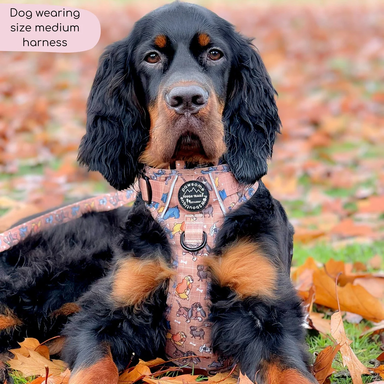 Disney© Tough Trails™ Harness - Disney Dogs - Image 6