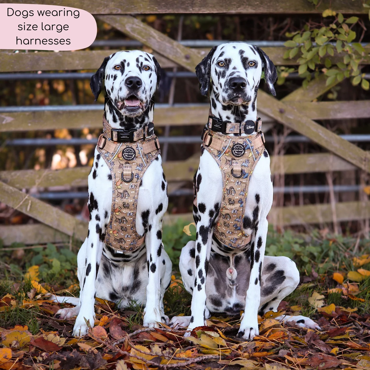 Disney© Tough Trails™ Harness - Disney Dogs - Image 7