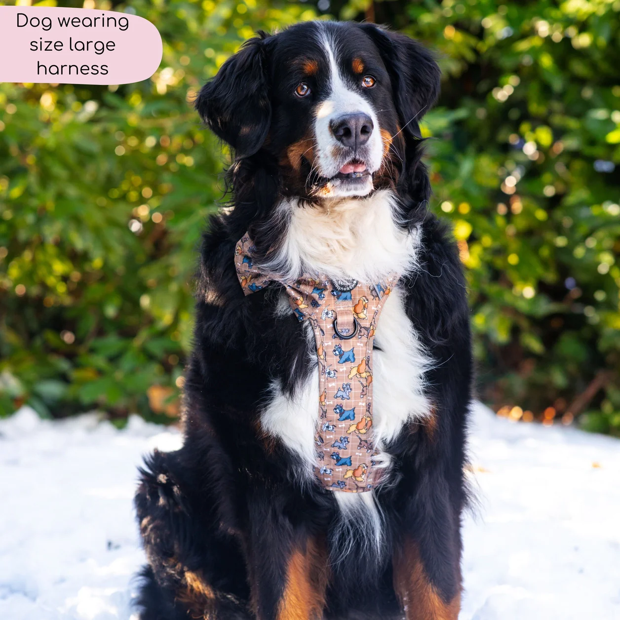 Disney© Tough Trails™ Harness - Disney Dogs - Image 8