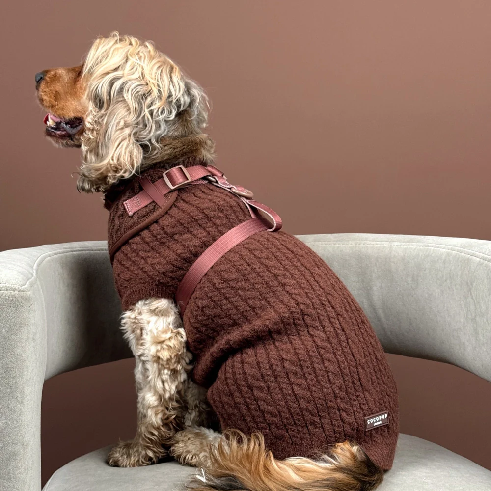 Cable Knit Jumper - Hot Coco - Image 7