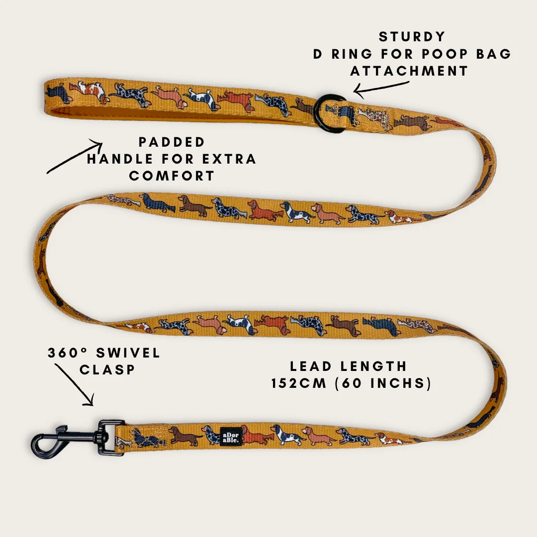 Dog Lead - Dashing Dachshunds - Image 3