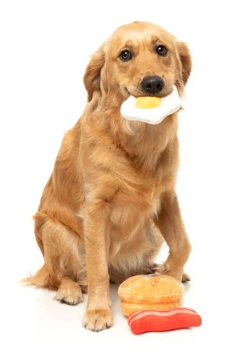Dog's Breakfast 3PK - Dog Toy - Image 4