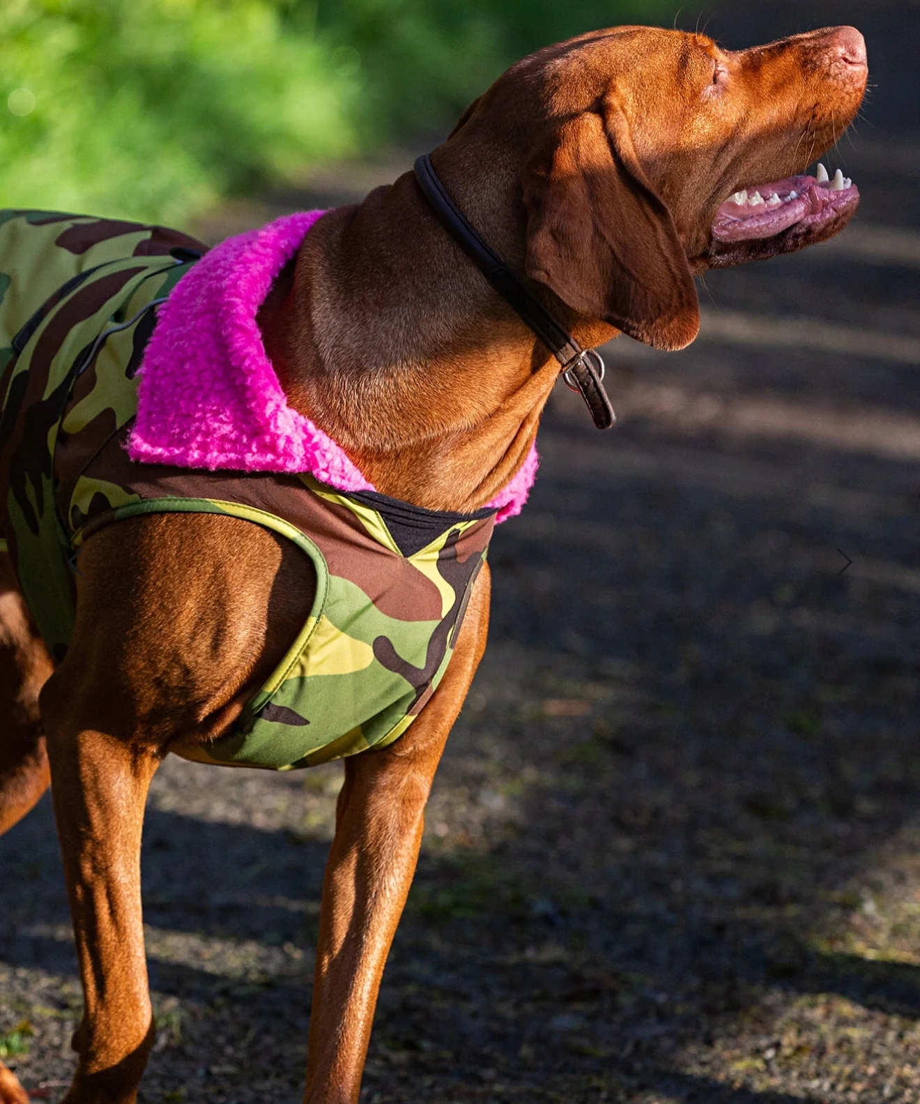 Dryrobe® Dog Camo Green/Pink - Image 4