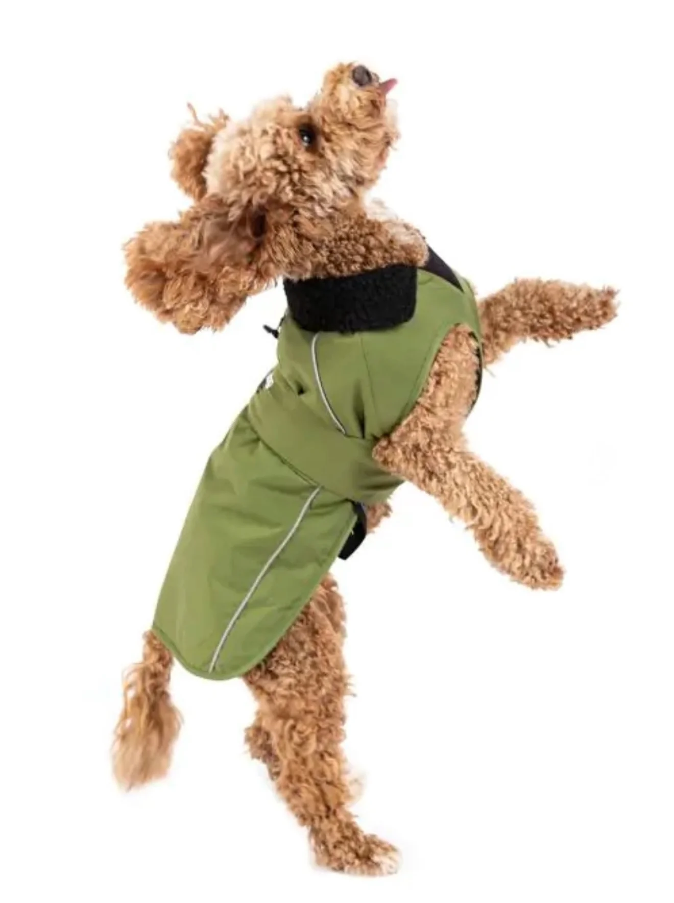Dryrobe® Dog Green/Black - Image 3
