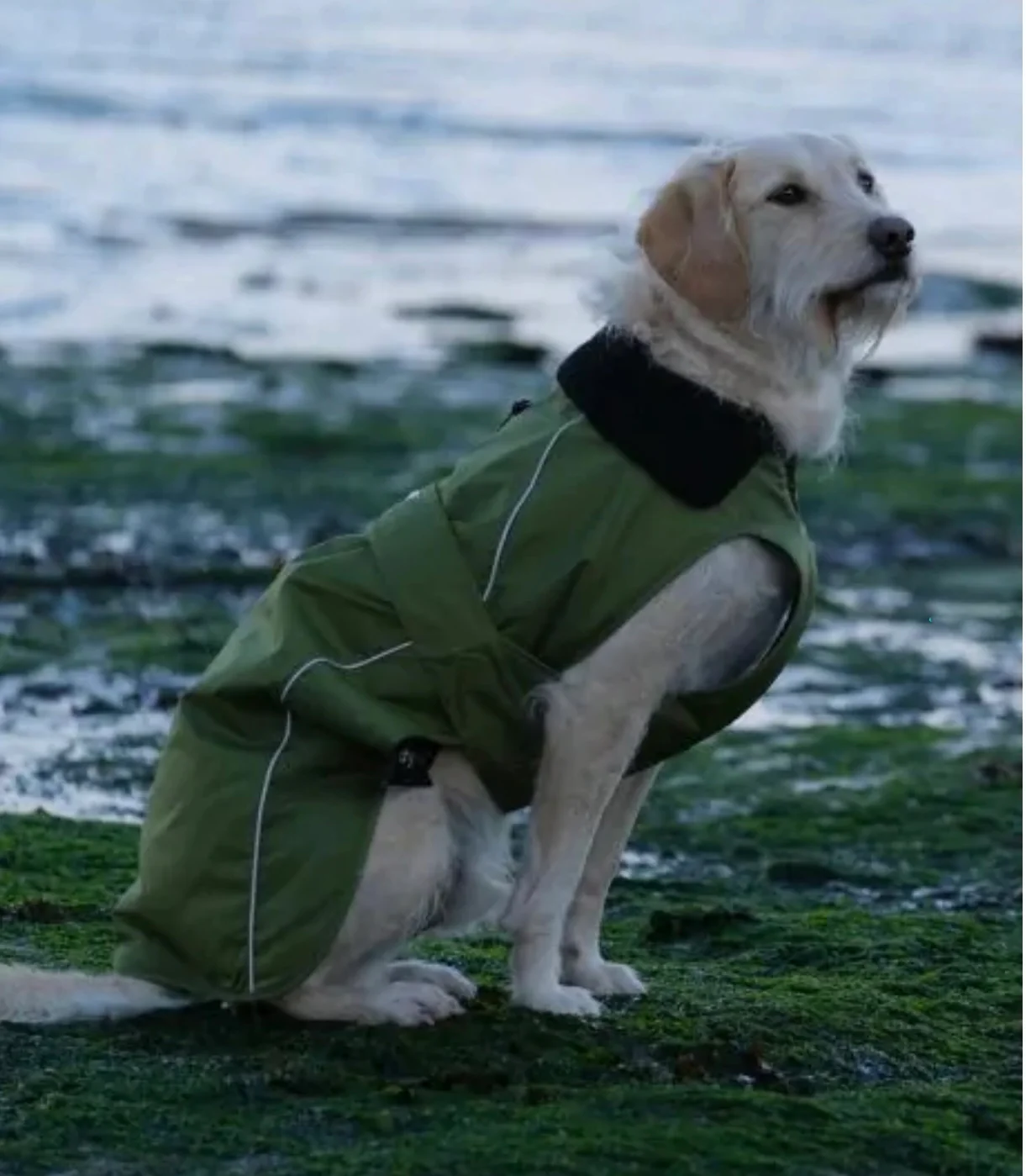 Dryrobe® Dog Green/Black - Image 4