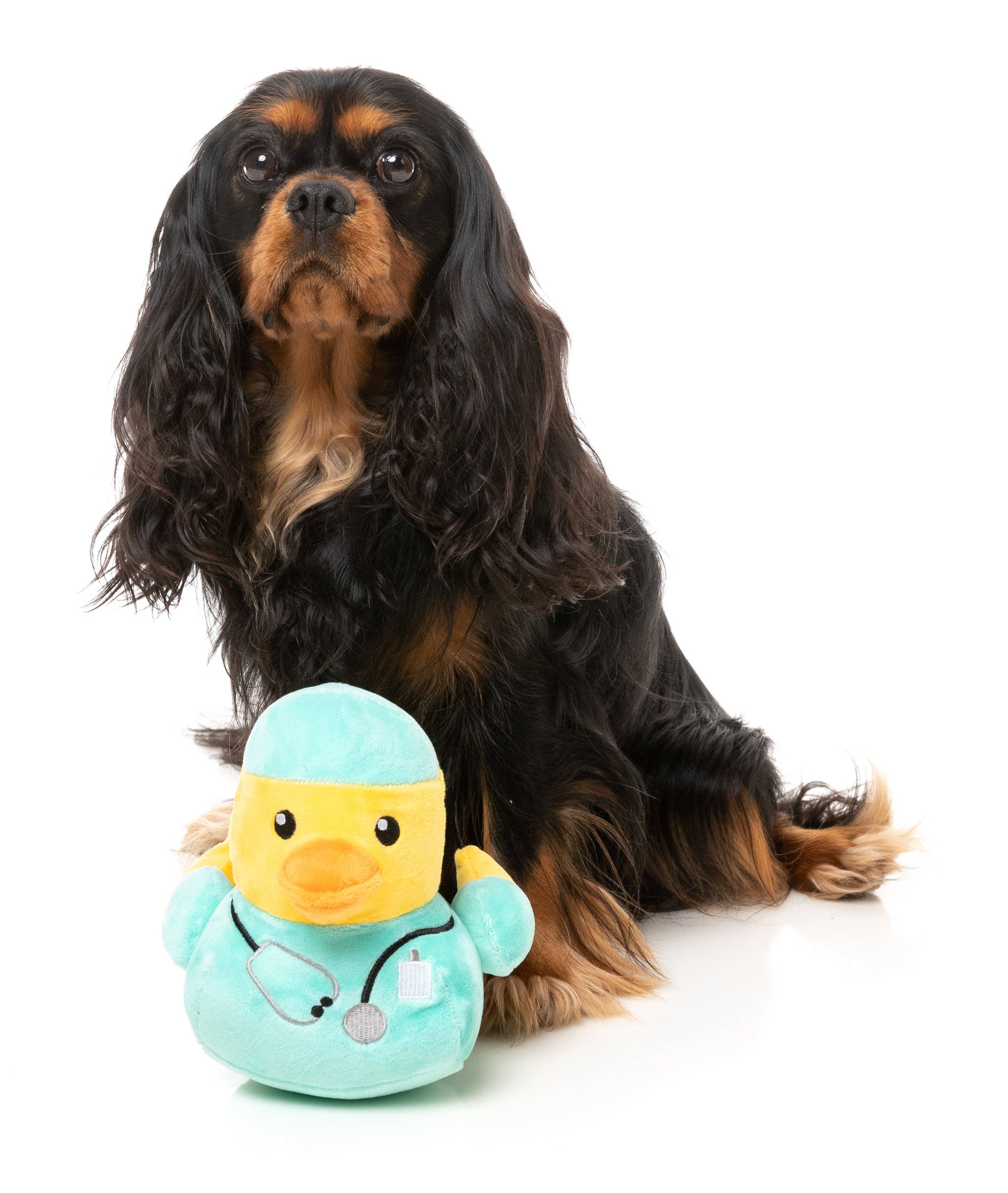 Ducktor - Dog Toy - Image 3
