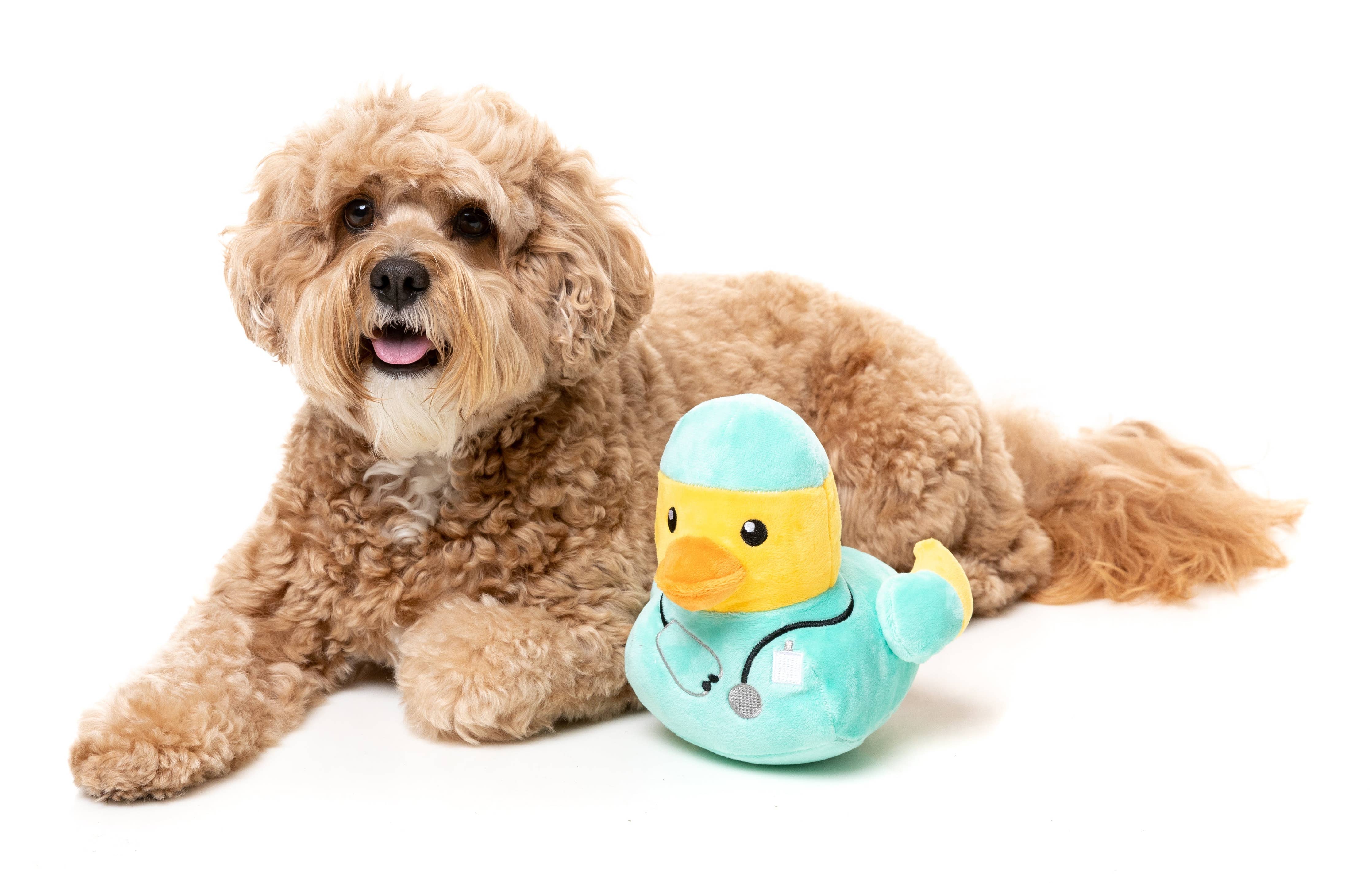 Ducktor - Dog Toy - Image 4