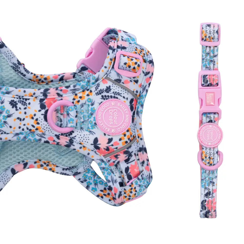 Bailey and Coco Trail & Glow Adjustable Collar - Colour Drops - Spring Dreams