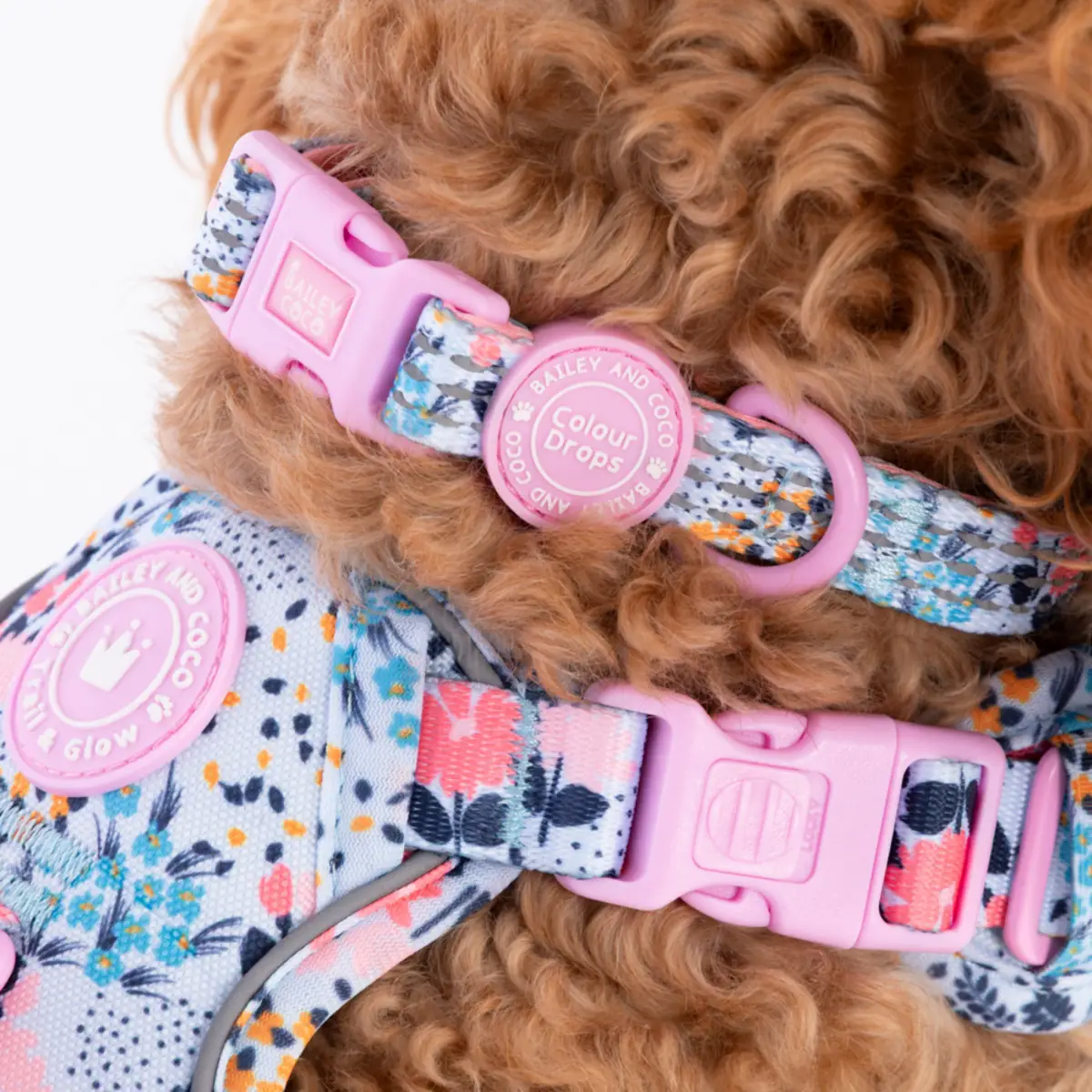 Bailey and Coco Trail & Glow Adjustable Collar - Colour Drops - Spring Dreams - Image 3