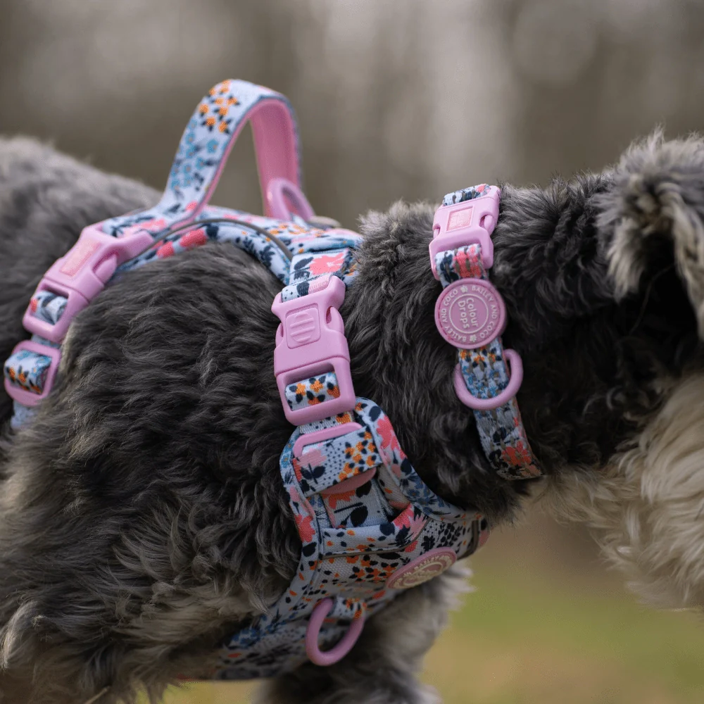 Bailey and Coco Trail & Glow Adjustable Collar - Colour Drops - Spring Dreams - Image 4