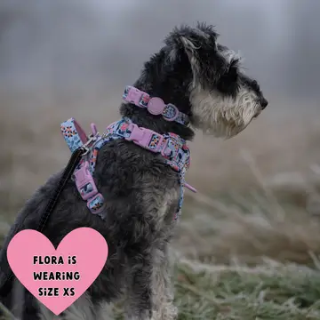 Bailey and Coco Trail & Glow Adjustable Collar - Colour Drops - Spring Dreams - Image 6