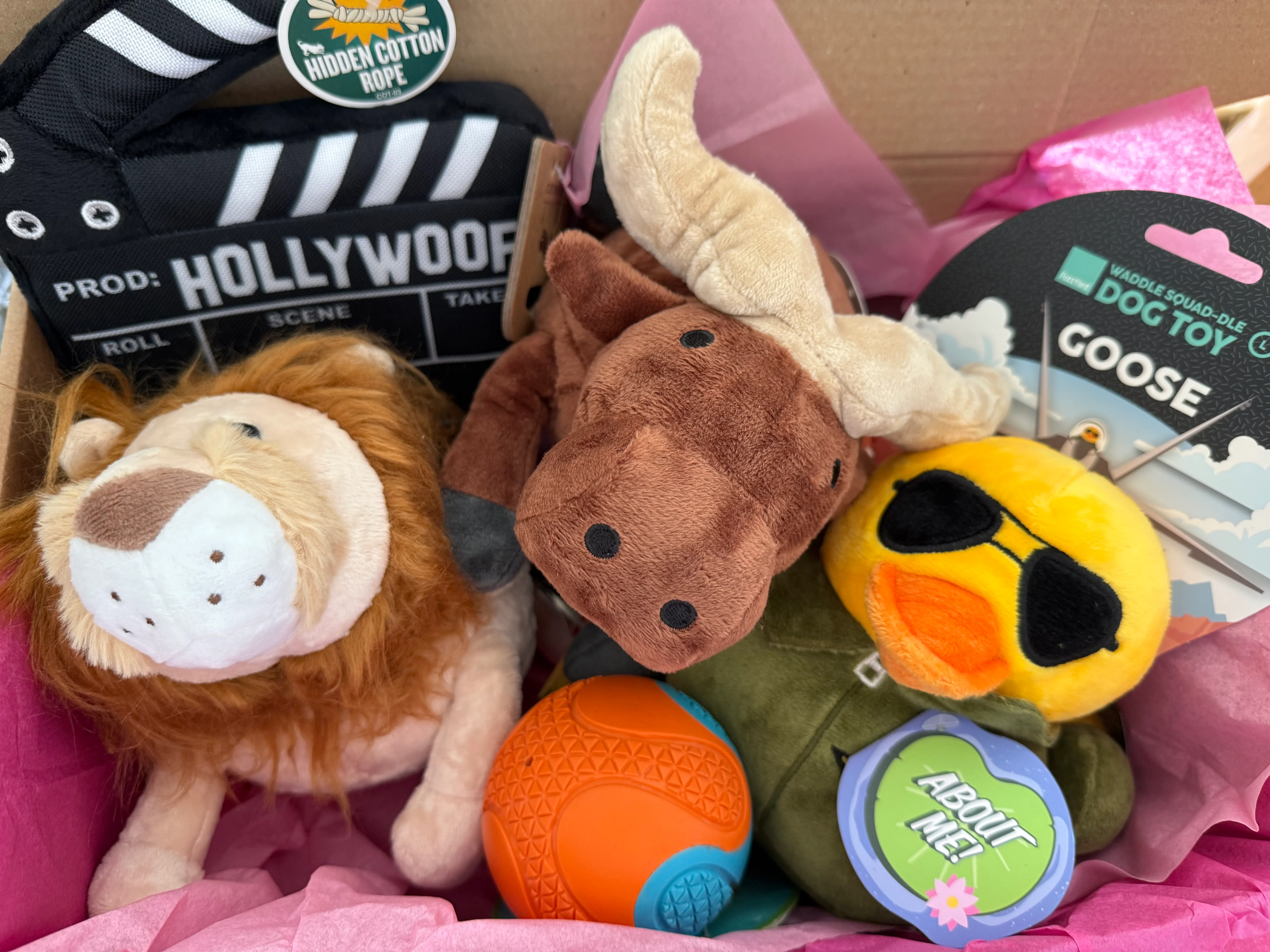 🎉 Oh My Dog Barkday Box 🎉 - Image 3