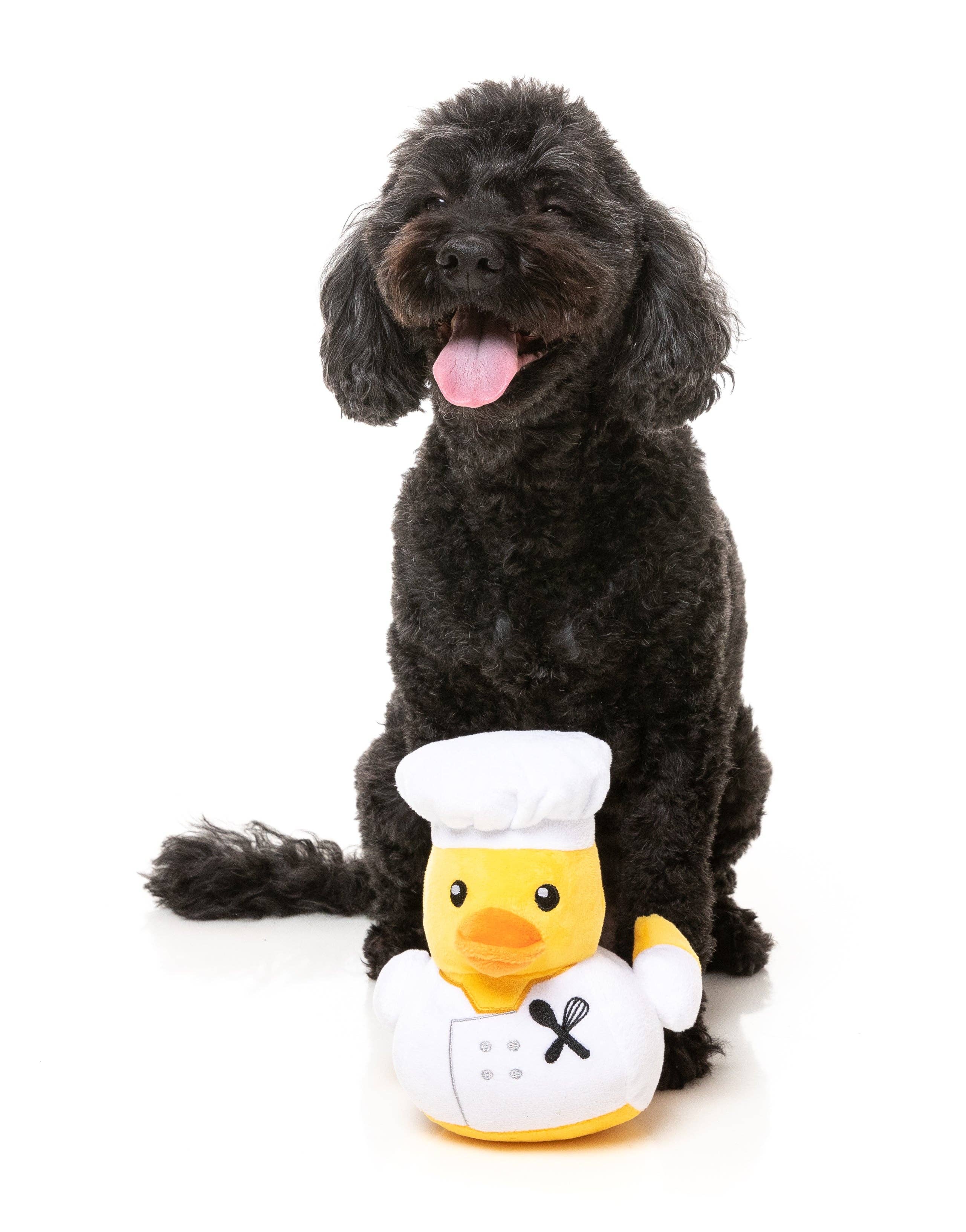 Gordon Quacksay - Dog Toy - Image 2