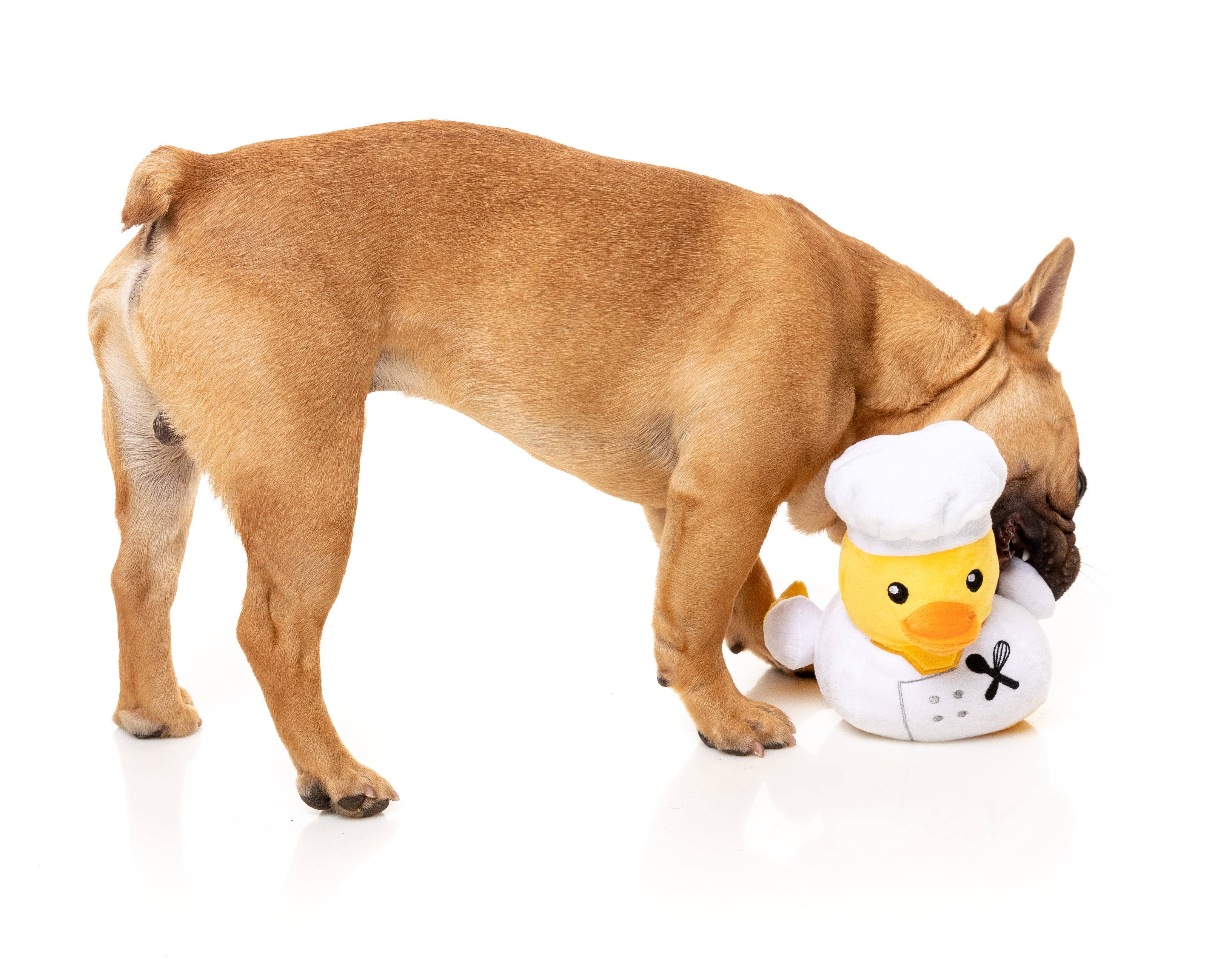 Gordon Quacksay - Dog Toy - Image 4