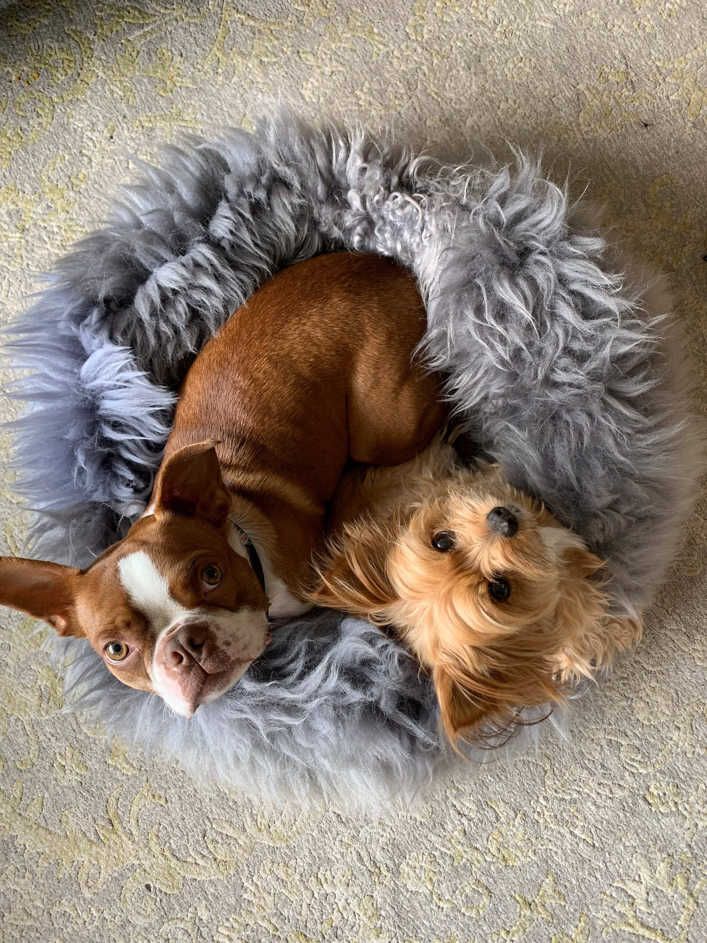 Grey Sheepskin Pet Bed: 40cm - Image 4