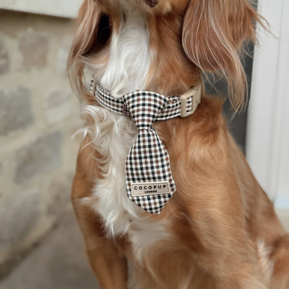Heritage Check Dog Tie - Image 2