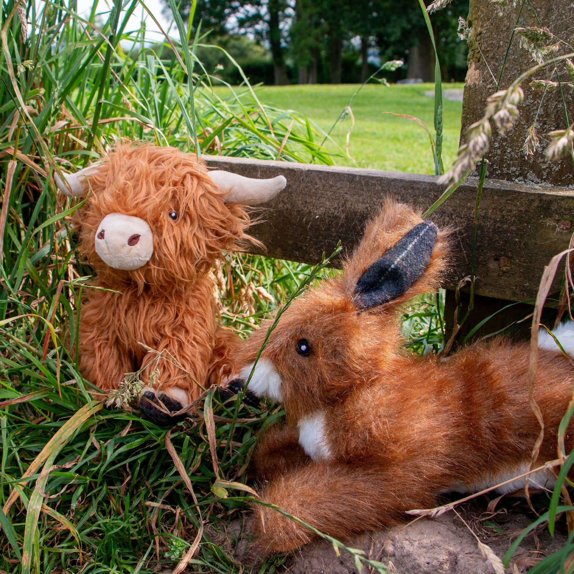 Heritage Fergus Highland Cow - Image 3